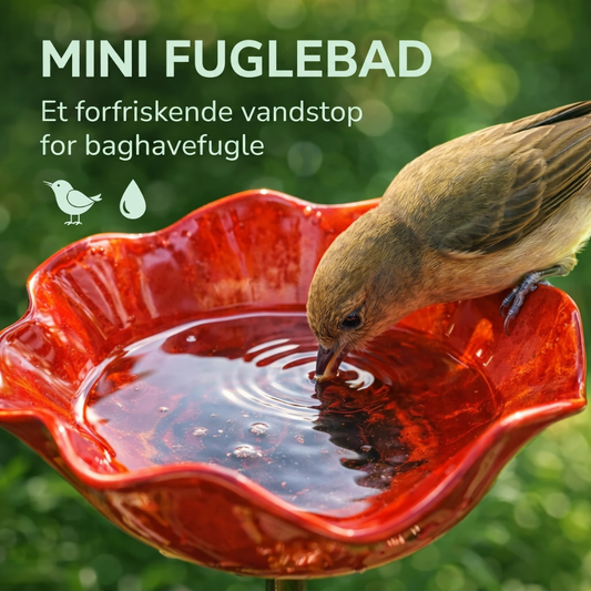BlomstBad™ – Have fuglebad & bestøver vandstation