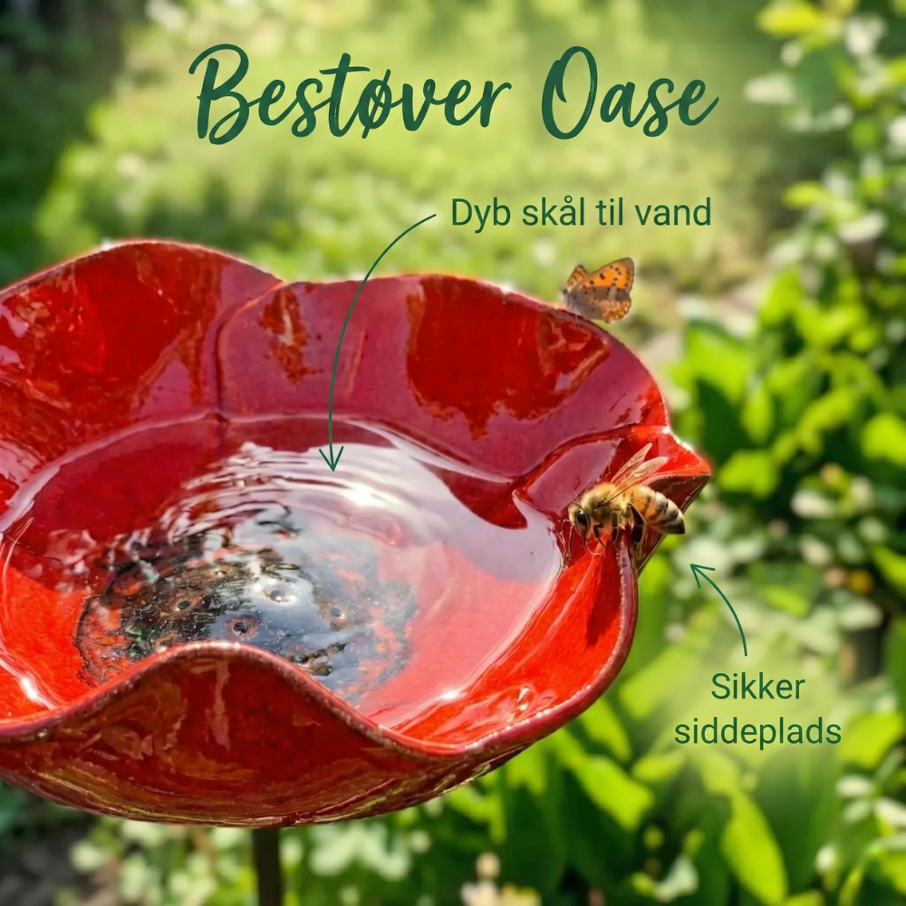 BlomstBad™ – Have fuglebad & bestøver vandstation